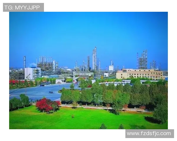 河南女足崛起之路探秘展现中国女子足球新风貌与未来希望